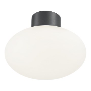 Ideal Lux - Utomhustaklampa CLIO 1xE27/42W/230V IP44 antracit