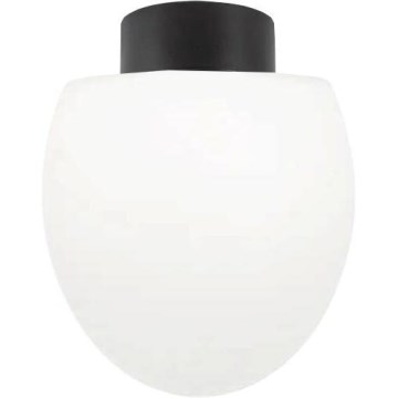 Ideal Lux - Utomhustaklampa CLIO 1xE27/42W/230V IP44 svart