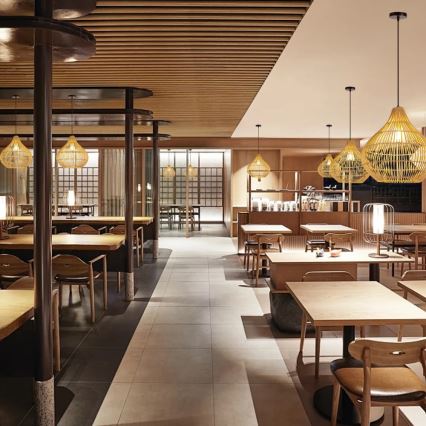 Ljuskrona med textilsladd PELO 1xE27/40W/230V diameter 40 cm rotting