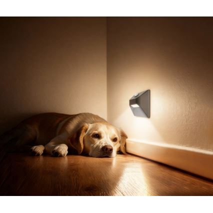Uppladdningsbar trappbelysning med rörelse- och skymningssensor STEP LIGHT LED/0,3W/3,7V 2200 mAh IP53 grå