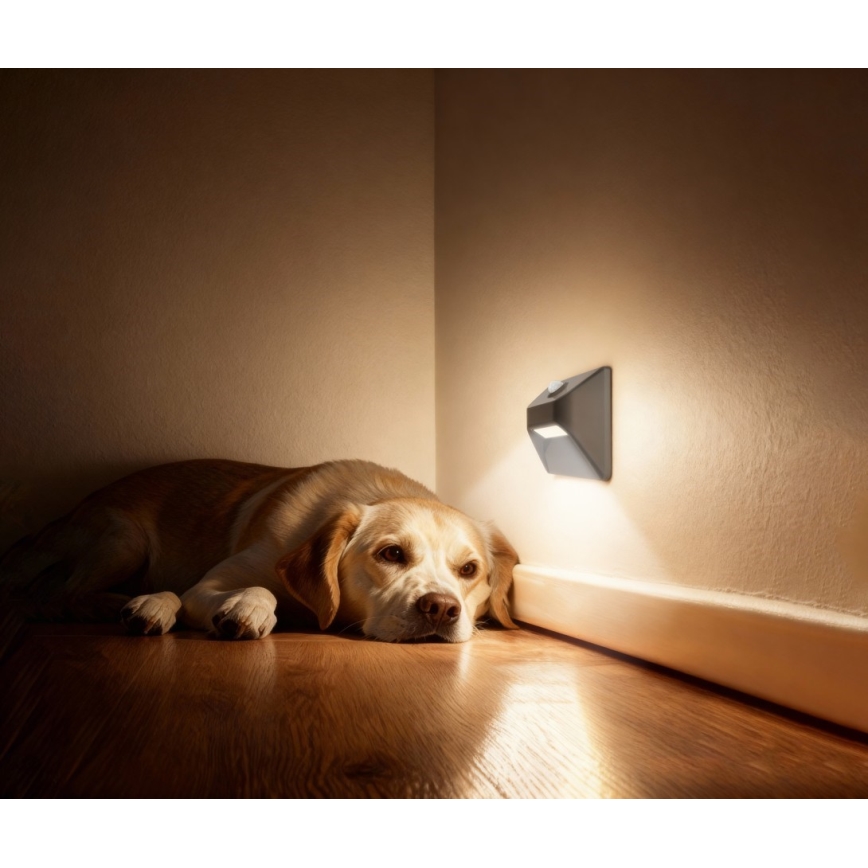 Uppladdningsbar trappbelysning med rörelse- och skymningssensor STEP LIGHT LED/0,3W/3,7V 2200 mAh IP53 grå