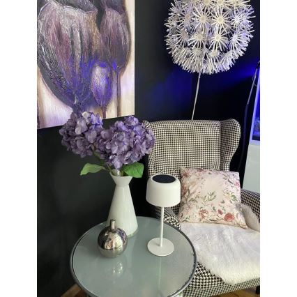 LED Dimbara utomhus solarlampa LED/4W/5V 3600mAh IP44