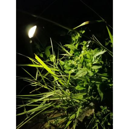 LED solcellslampa med sensor LED/1W/3,7V 6000K IP65 1500 mAh