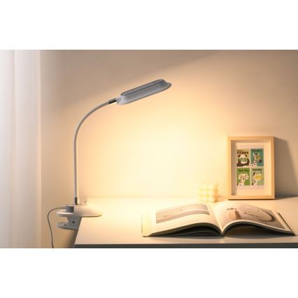 LED+CCT Dimmbar bordslampa med klämma CLIP LED/7,5W/230V 3000/4200/5000K vit