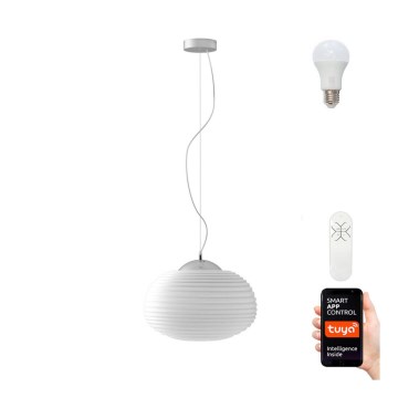Immax NEO 07067L - LED RGB Dimbar Ljuskrona COCONO 1xE27/8,5W/100-240V 34 cm