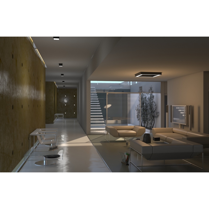 Immax NEO 07074L-15 - Dimbar LED-lampa CANTO LED/12W/230V svart