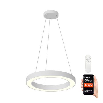 Immax NEO 07091L - LED dimbar taklampa PASTEL LED/52W/230V 60 cm vit Tuya + fjärrkontroll
