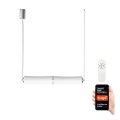 Immax NEO 07102L - LED dimbar taklampa BAMBOOS LED/30W/230V 90 cm Tuya + fjärrkontroll