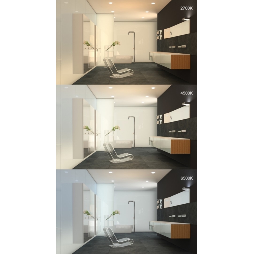 Immax NEO 07110K - LED Dimbar infälld Badrumbelysning PRACTICO LED/24W/230V