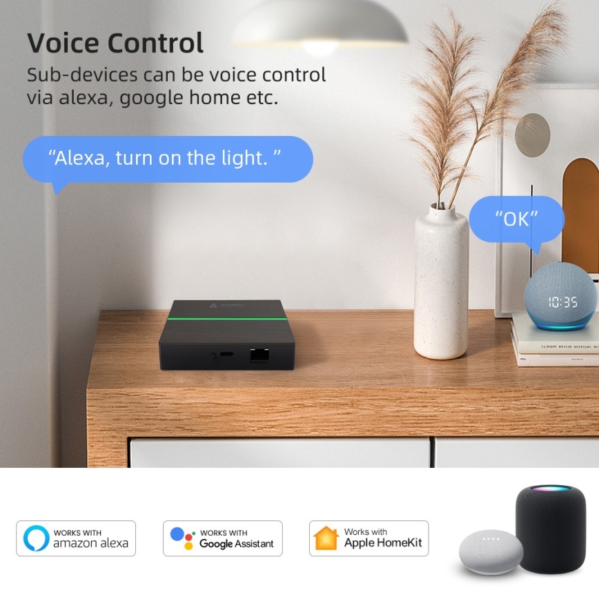 Immax NEO 07117-5 - MATTER-brygga Smart Zigbee 3.0 230V Wi-Fi