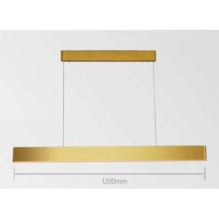 Immax NEO 07157-G120X - LED RGB+CCTW Ljusreglerad ljuskrona på textilsladd MILANO LED/40W/230V Tuya guld