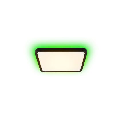 Immax NEO 07167-B40 - LED RGB+CCT dimbar taklampa NEO LITE TUDO LED/50W/230V Wi-Fi Tuya svart + fjärrkontroll