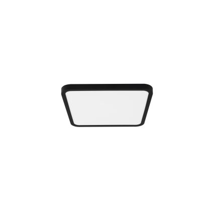 Immax NEO 07167-B40 - LED RGB+CCT dimbar taklampa NEO LITE TUDO LED/50W/230V Wi-Fi Tuya svart + fjärrkontroll