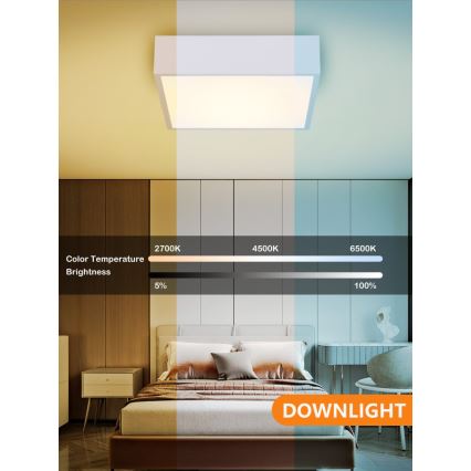 Immax NEO 07238L - LED dimbar taklampa CANTO LED/22W/230V vit Tuya + fjärrkontroll