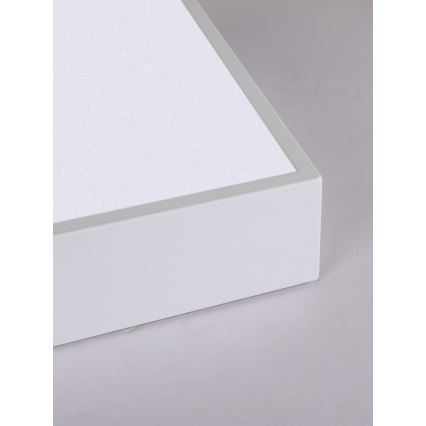 Immax NEO 07238L - LED dimbar taklampa CANTO LED/22W/230V vit Tuya + fjärrkontroll