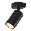 Immax NEO 07260W - LED RGB+CCT dimbar spotlight NEO LITE PUNTO 1xGU10/6W/230V Wi-Fi Tuya