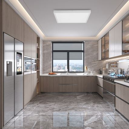 Immax NEO 07277L - LED ljusreglerad taklampa till badrum NEO LITE FRAME LED/50W/230V IP44 Wi-Fi Tuya +remote kontroll vit