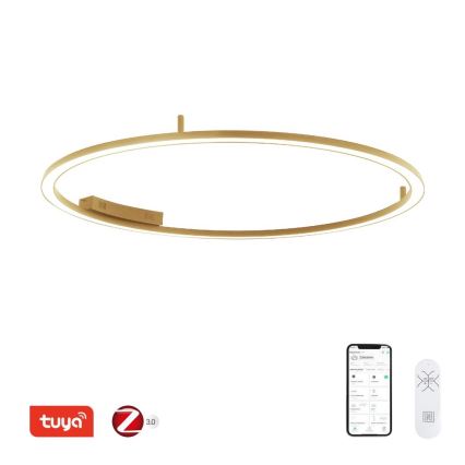 Immax NEO 07290-120G - LED+CCT dimbar takarmatur FINO LED/55W/230V 2700-6500K Tuya diam. 120 cm + fjärrkontroll