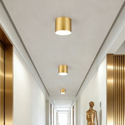 Immax NEO 07317L - LED dimbar taklampa RONDATE LED/18W/230V diam. 11,5 cm Wi-Fi Tuya guld