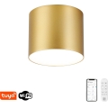 Immax NEO 07317L - LED dimbar taklampa RONDATE LED/18W/230V diam. 11,5 cm Wi-Fi Tuya guld