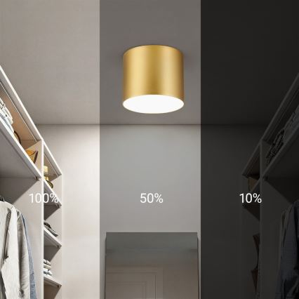Immax NEO 07317L - Dimmbar LED-takarmatur RONDATE LED/18W/230V Ø 11,5 cm Wi‑Fi Tuya, guldig