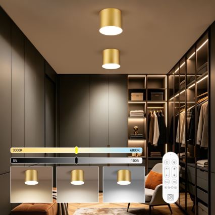 Immax NEO 07318L - LED dimbar taklampa RONDATE LED/32W/230V Ø 16,5 cm Wi-Fi Tuya guld