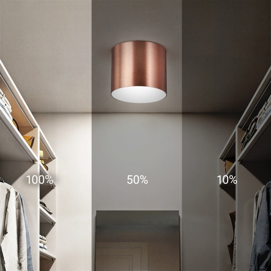 Immax NEO 07319L - Dimmbar LED-takarmatur RONDATE LED/18W/230V Ø 11,5 cm Wi‑Fi Tuya roséguld