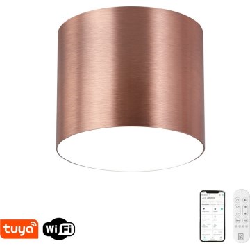 Immax NEO 07320L - Dimbart LED-takarmatur RONDATE LED/32W/230V Ø 16,5 cm Wi-Fi Tuya roséguld