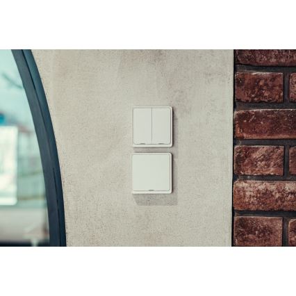 Immax NEO 07507L - Strömbrytare 2-knappar SMART 1xCR2430 Zigbi 3.0 Tuya