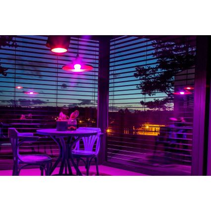 Immax NEO 07712CDO - SET MED 3x LED RGB+CCT Dimbar glödlampa E27/9W/230V Wi-Fi Tuya + fjärrkontroll