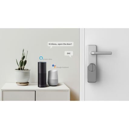 Immax NEO 07815L - Smart dörrlås med knappsats 4xAA + 2xAA Tuya
