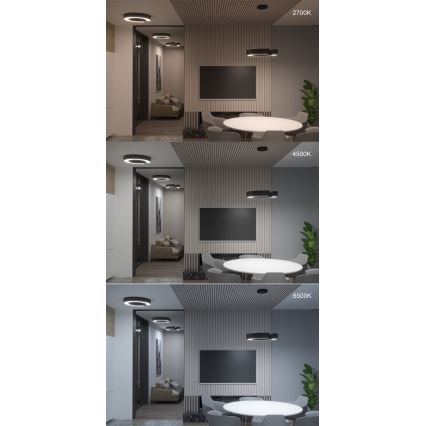 Immax NEO 7133 - LED SMART Ljusreglerad taklampa CÉČKO LED/52W/230V + fjärrkontroll 60 cm Tuya ZigBee