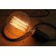 Industriell dekorativ ljusreglerad  glödlampa  SELRED G125 E27/60W/230V 2200K 120 lm