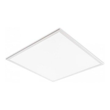 Infälld LED-panel för undertak DAVRO LED/40W/230V 4000K 62x62 cm vit