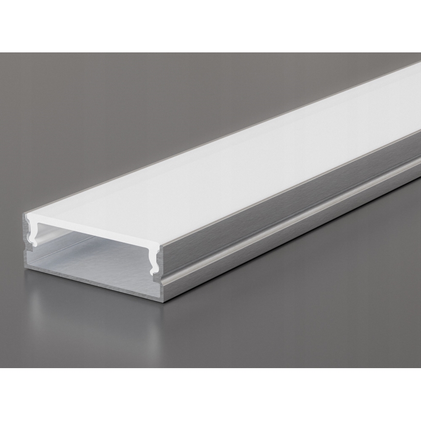 Infälld profil för LED-remsor 1 m silver/vit