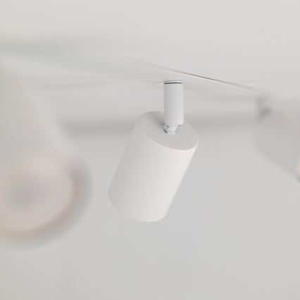 Infälld spotlight NEX 4xGU10/10W/230V vit