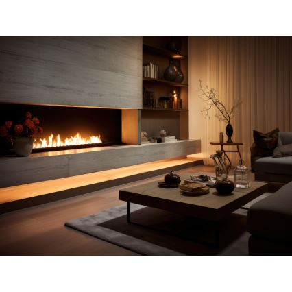 InFire - Inbyggd BIO eldstad 7,5x120 cm 7kW svart