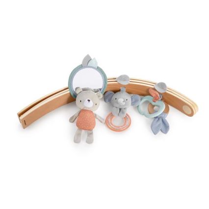 Ingenuity - Babygym LOAMY mint/grå