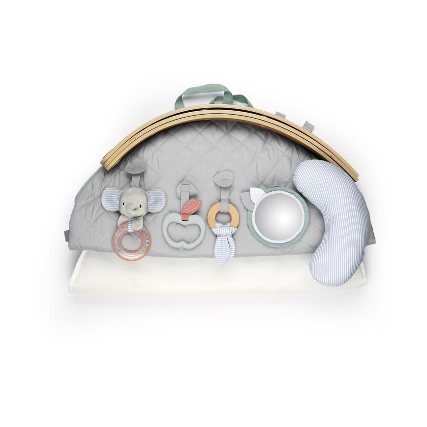 Ingenuity - Babygym LOAMY mint/grå