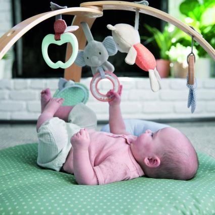Ingenuity - Babygym LOAMY mint/grå