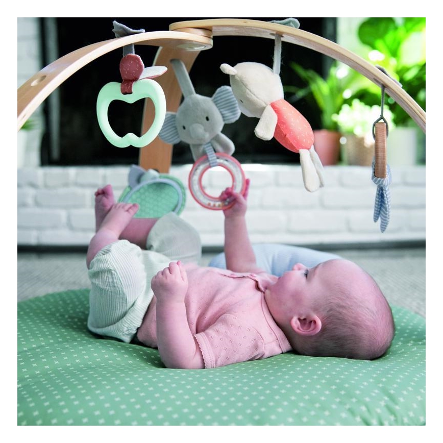 Ingenuity - Babygym LOAMY mint/grå