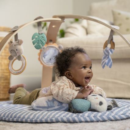 Ingenuity - Babylekmatta ELEPHANT MARCH