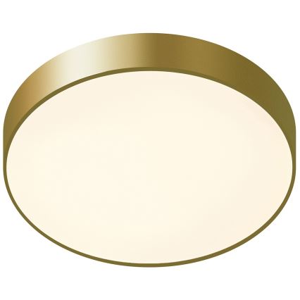 ITALUX - LED taklampa ORBITAL LED/30W/230V 3000K guld