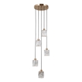 ITALUX - Hänglampa på kabel TORNO 5xE14/40W/230V guld