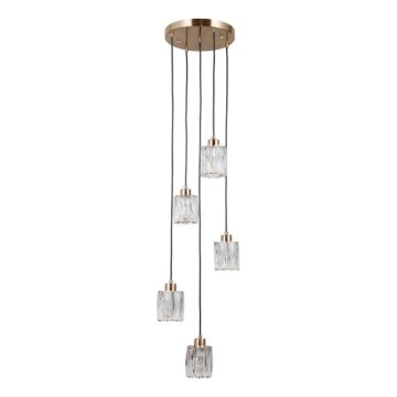 ITALUX - Hänglampa på kabel TORNO 5xE14/40W/230V guld