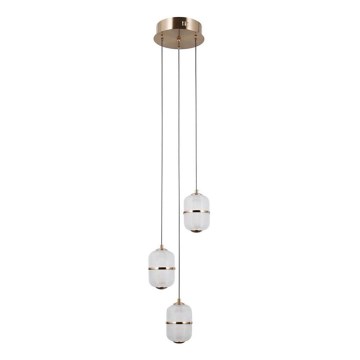 ITALUX - LED-pendel med vajer ALANI 3xLED/5W/230V 3000K guld