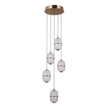 ITALUX - LED-pendel på vajer ALANI 5xLED/5,6W/230V 3000K guld