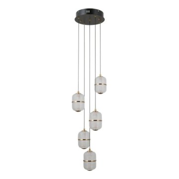 ITALUX - LED-pendellampa ALANI på vajer 5xLED/5,6W/230V 3000K svart/guld