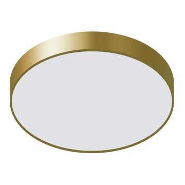 ITALUX - LED taklampa ORBITAL LED/30W/230V 3000K guld