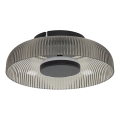 ITALUX - LED taklampa PASSO LED/8W/230V 3000K Ø 25 cm röktonad svart
